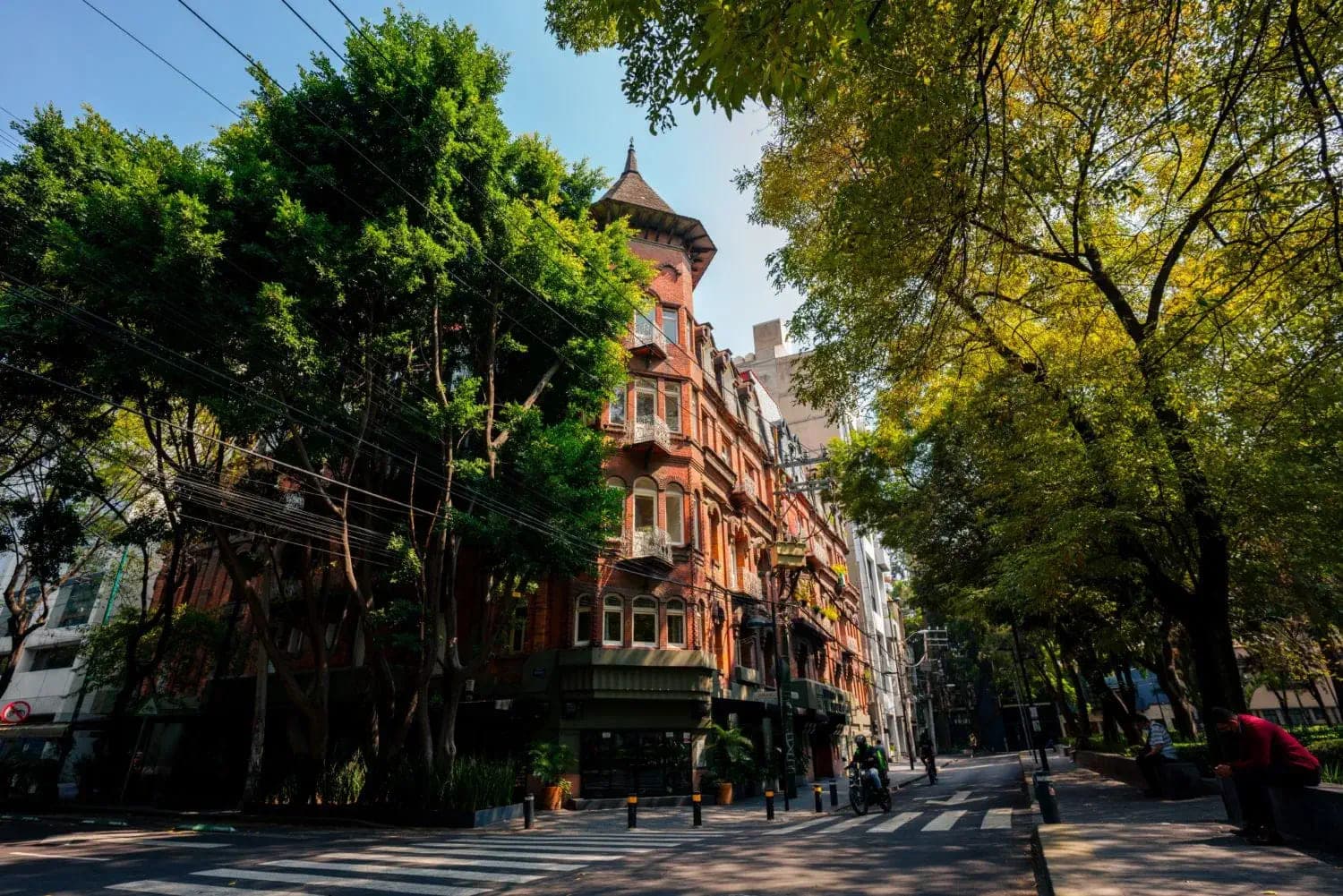 El corazón de la Roma en Ciudad de México: Una guía para vivir como local