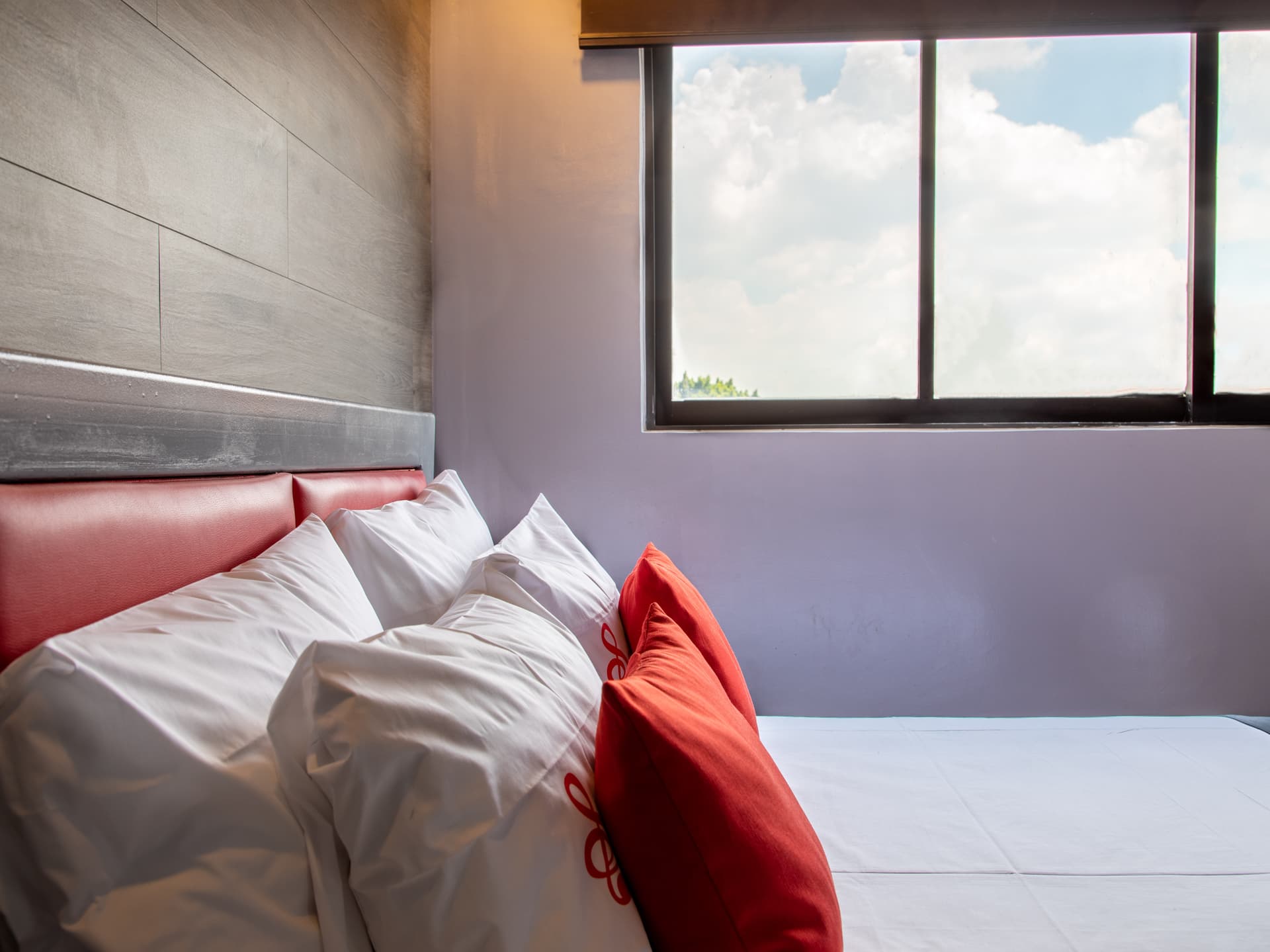 Estandar with view imagen 3